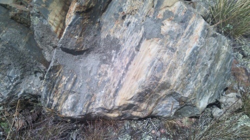 Гигантские зелёные валуны для ландшафтного дизайна весом более 5 тонн купить в Красноуральске